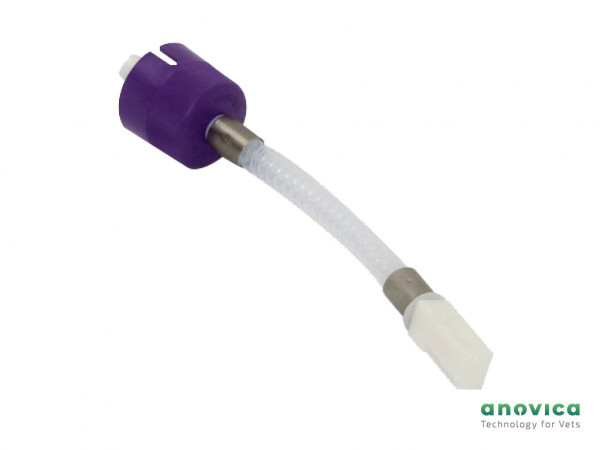 anoxic Anästhesie: Key-Fill-Adapter Isofluran